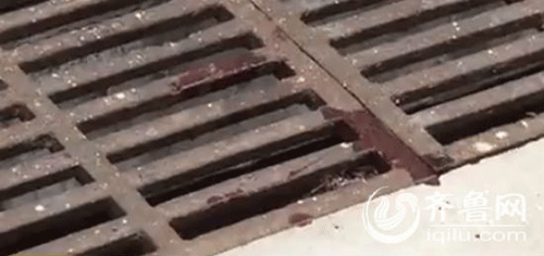 ͼƬ-