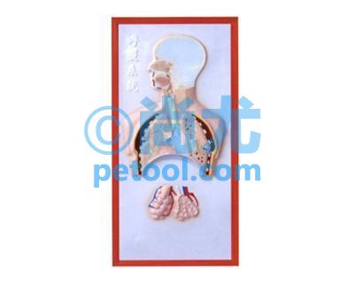 SKU:00143871,ϵͳģ͵Ƭ