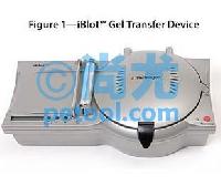 iBlot® Gel Transfer Device/ӢΫݻת Ŵ