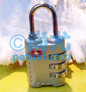 国产数字密码挂锁(L28*W12*H58mm)
