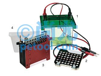 SKU:00012765,СתӡӾģ/MiniTrans-BlotElectrophoreticTransƬ