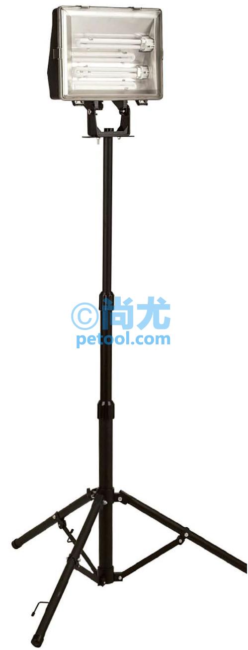 国产黑色伞形支架单头节能灯(4/3*11/24W)