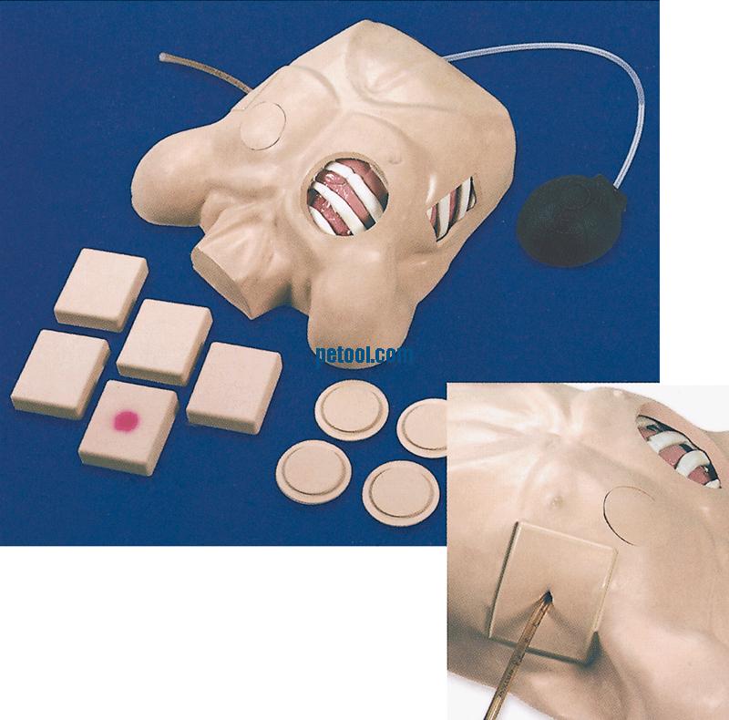 ǻʽģChest Tube Manikin