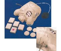 ǻʽģChest Tube Manikin