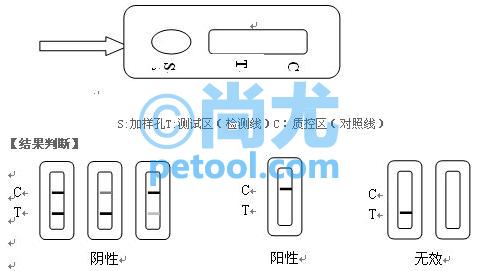 SKU:00250371,ţɳǿټԼеƬ