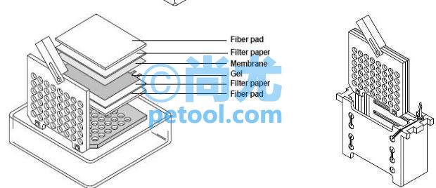 SKU:00012765,СתӡӾģ/MiniTrans-BlotElectrophoreticTransƬ