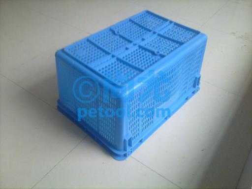 SKU:00252135,׵תƬ