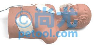 SKU:00039384,SaniϢģ˵Ƭ
