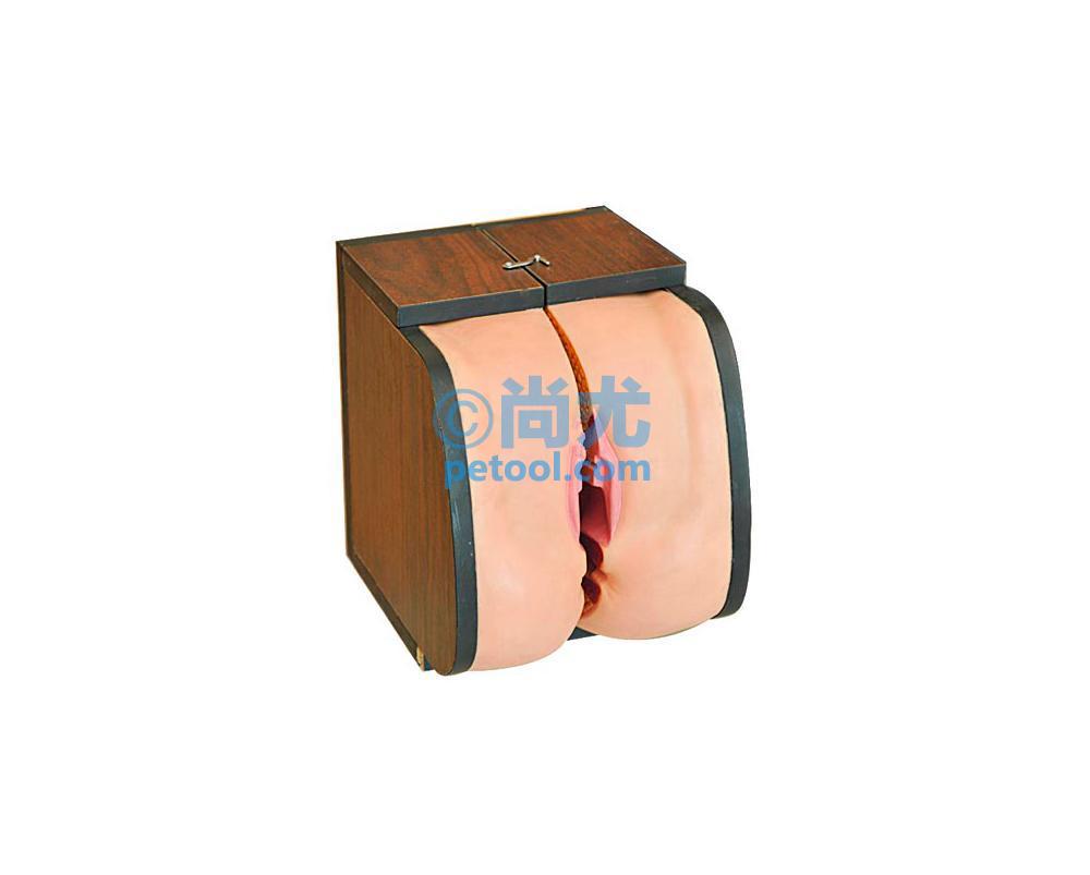 SKU:00211018,߼ŮԱָģ͵Ƭ
