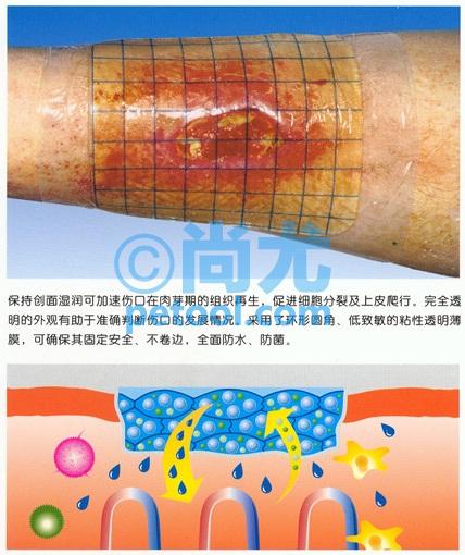 SKU:00158690,¹ڡʪ桱ˮ˿ڷϵƬ