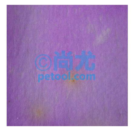 SKU:00245868,ˮʴ󳦾ȺֽƬƬ