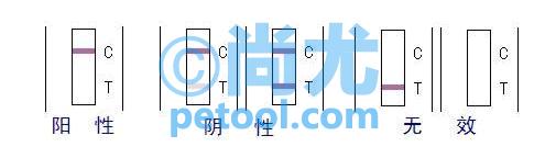 SKU:00250523,ùB1ټֽƬ