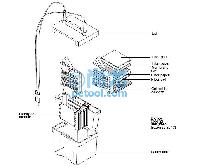 СתӡӾģ/Mini Trans-Blot Electrophoretic Trans Ŵ