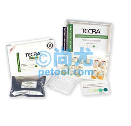 Tecra8482΢װ巨ɳϾټ(96/) Ŵ