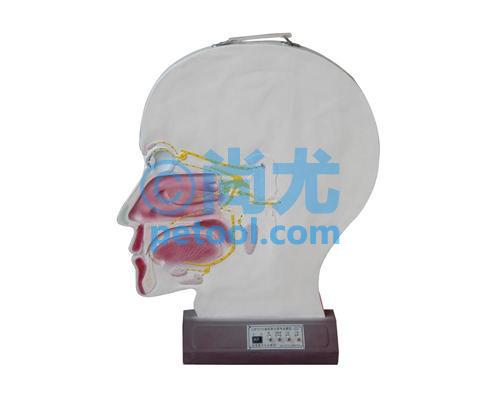 綯Բе綯ģ