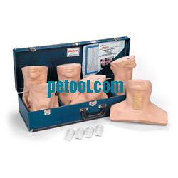 ĤģCricothyrotomy Simulator Ŵ