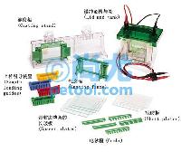 СʹֱӾ(Ŀ齺)Mini-PROTEAN Tetra Cell(0.75/1.0mm Ŵ