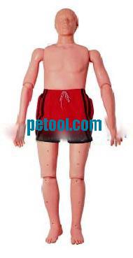 ˮϾģWater Rescue Training Manikin